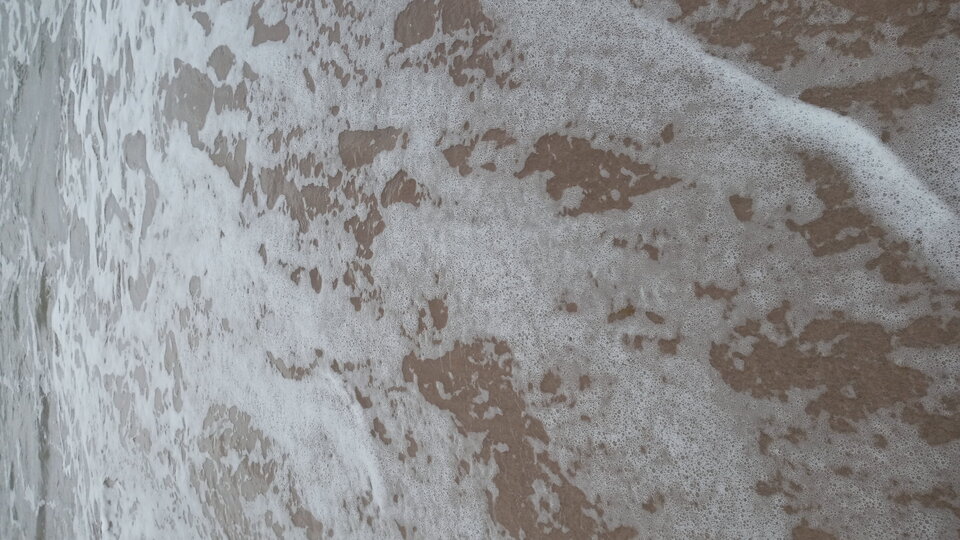 20210801_140909.jpg - Mrowka72