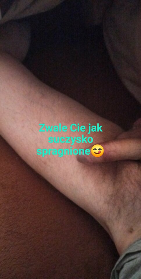 USER_SCOPED_TEMP_DATA_orca-image-1627877752788_68278141700305570 - wolnyjakPtaszek