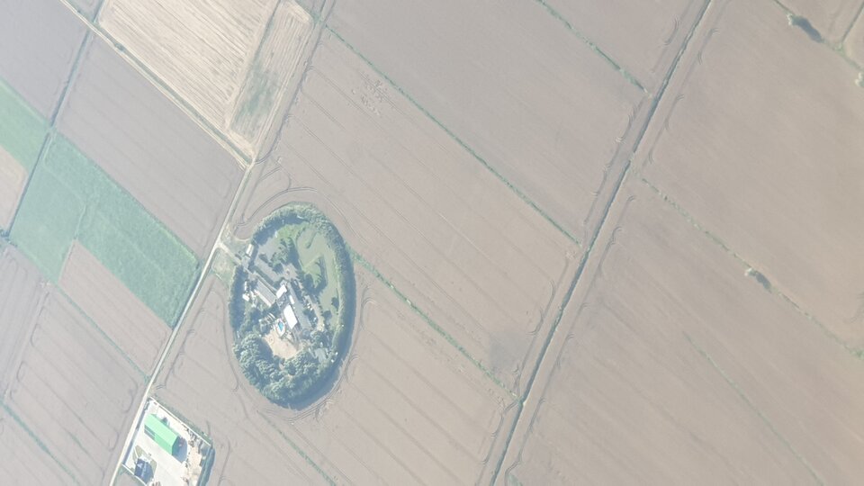 20210730_170601.jpg - EdytJacGda