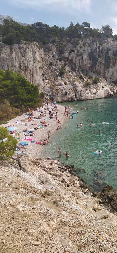 IMG_20210803_122206.jpg - MydwojeBrz