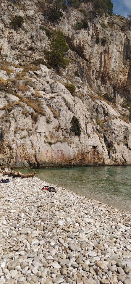 IMG_20210803_151438.jpg - MydwojeBrz