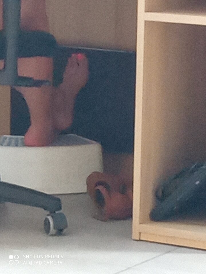 IMG_20210803_132209.jpg - dzidek1971