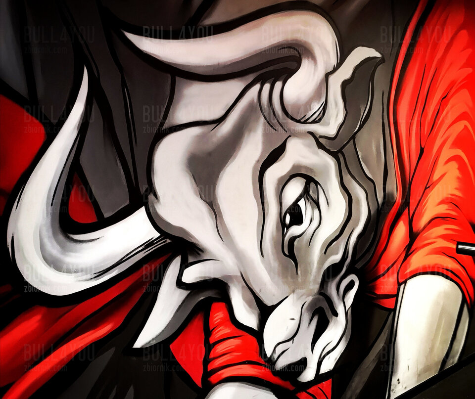 Bull - bull4you