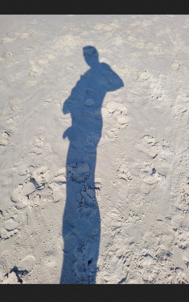 Screenshot_20210804-202239_Firefox.jpg - strayk