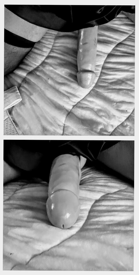 IMG_20210214_161543-COLLAGE.jpg - ArekNo1