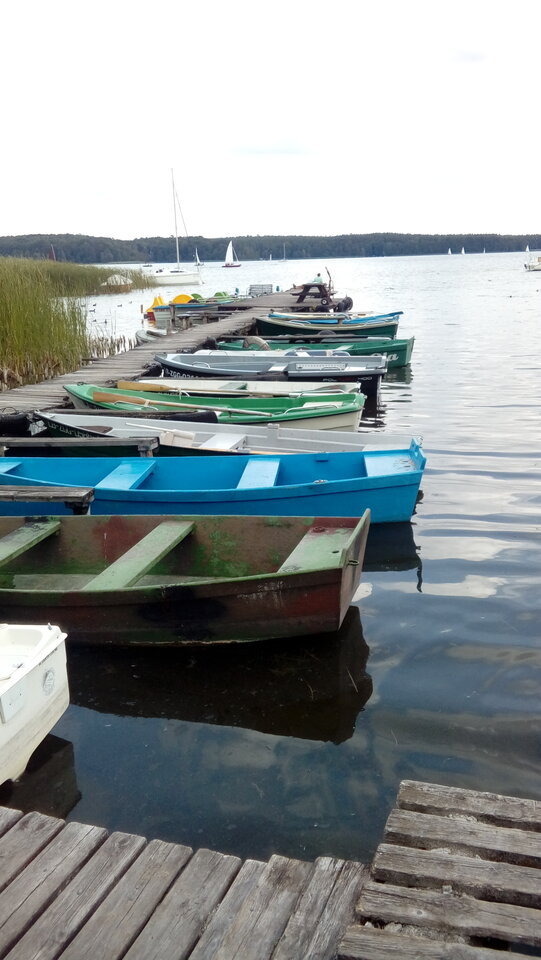 20210805_113256.jpg - jak2109