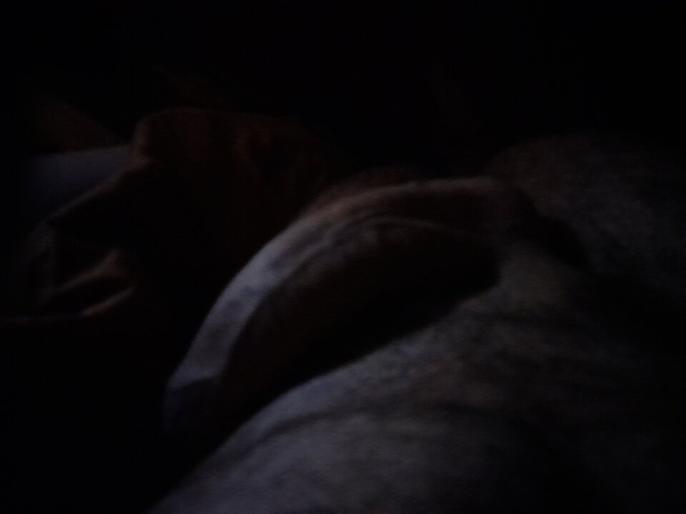 16282155889325053017344822252529.jpg - olmecagold