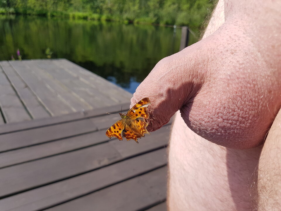 20210807_104550.jpg - ultimatecouple