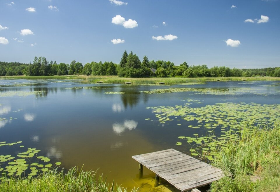 ☀️🌤 - Mirabelka37