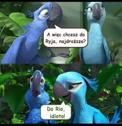 Wakacyjny żart 😁