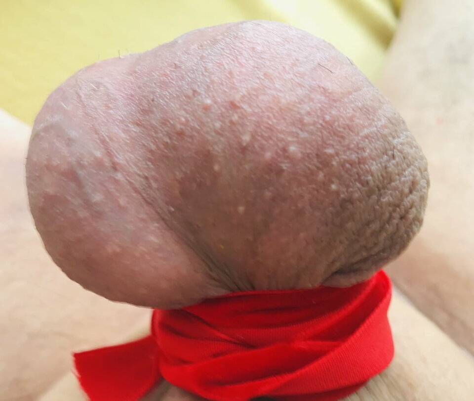 C672A494-0A5D-461D-B026-3ABA88AECF77.jpeg - Moechus71