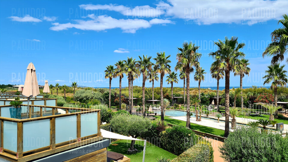 20210808_153702.jpg - pawdor