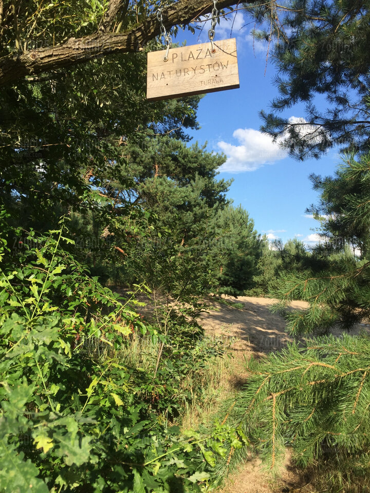 Wreszcie trafiliśmy w to miejsce - 26oni25