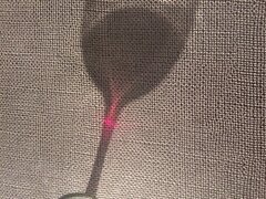 IMG_20200607_162841.jpg