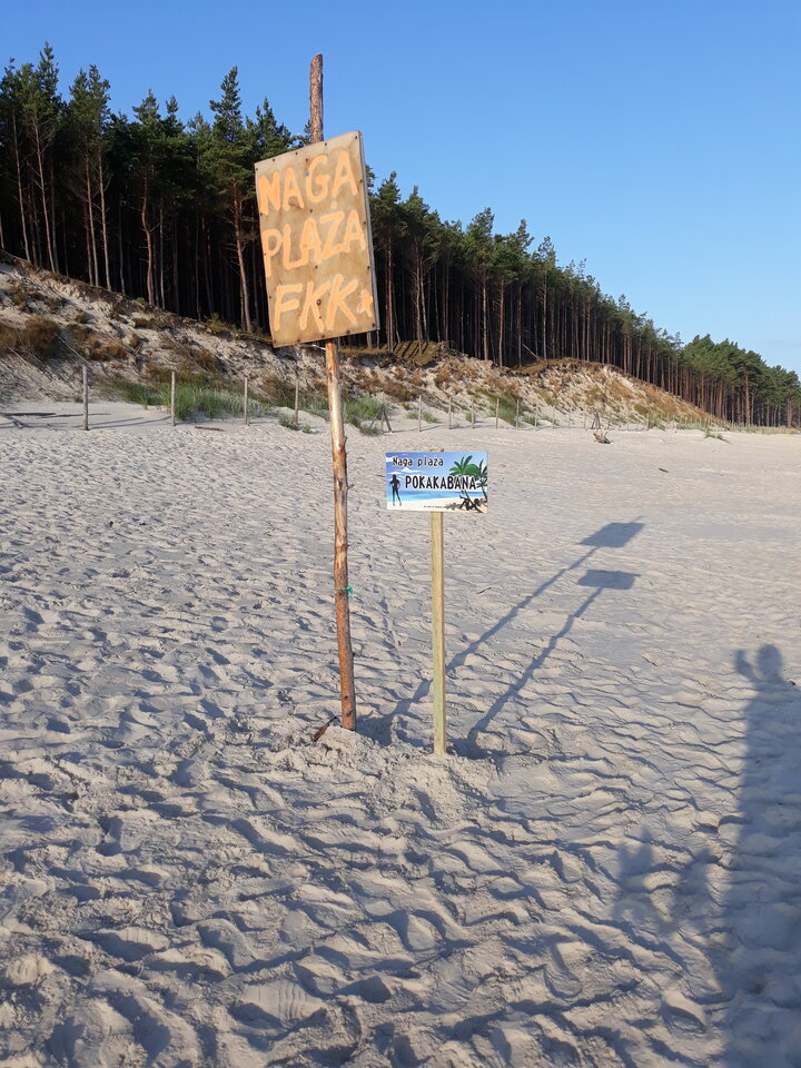 20210805_064816.jpg - Niewyzyta_Parka