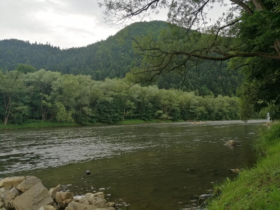 IMG_20210703_130234.jpg - gru71