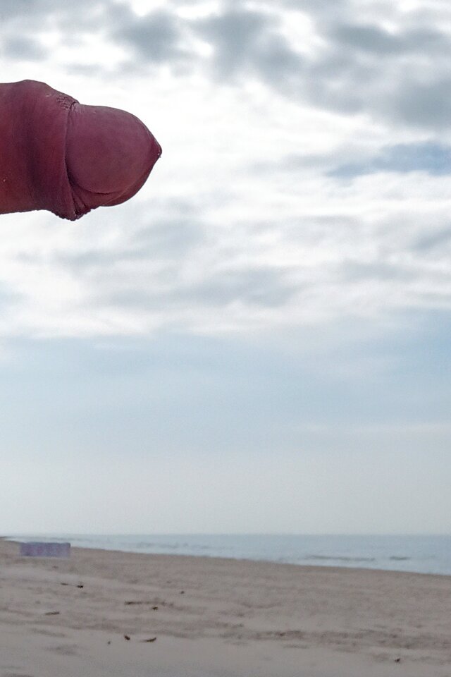 IMG_20210627_162614~2.jpg - artur42wawa