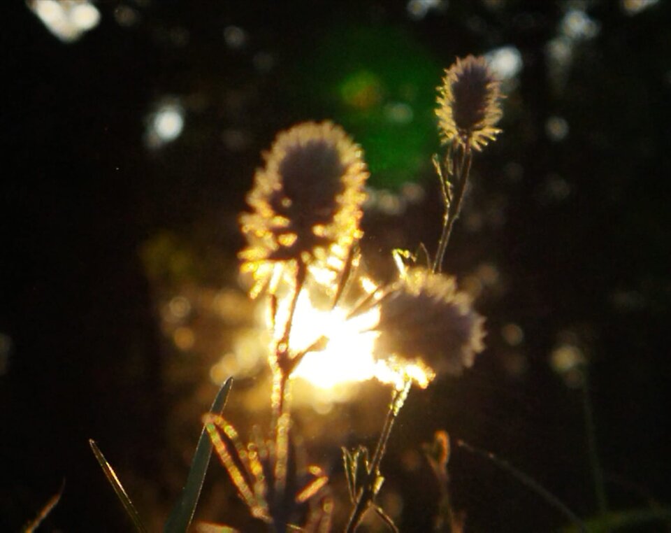 Takie moje 😊🔆 - Ina69