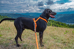 Z nadzieją w przyszłość...