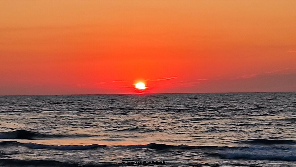 IMG_20210730_205353.jpg - CabernetSauvignon