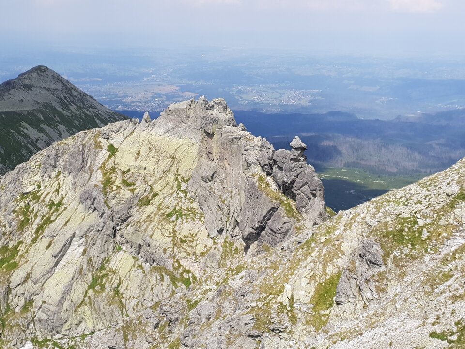 20190726_131956.jpg - ZakazanaStrefa