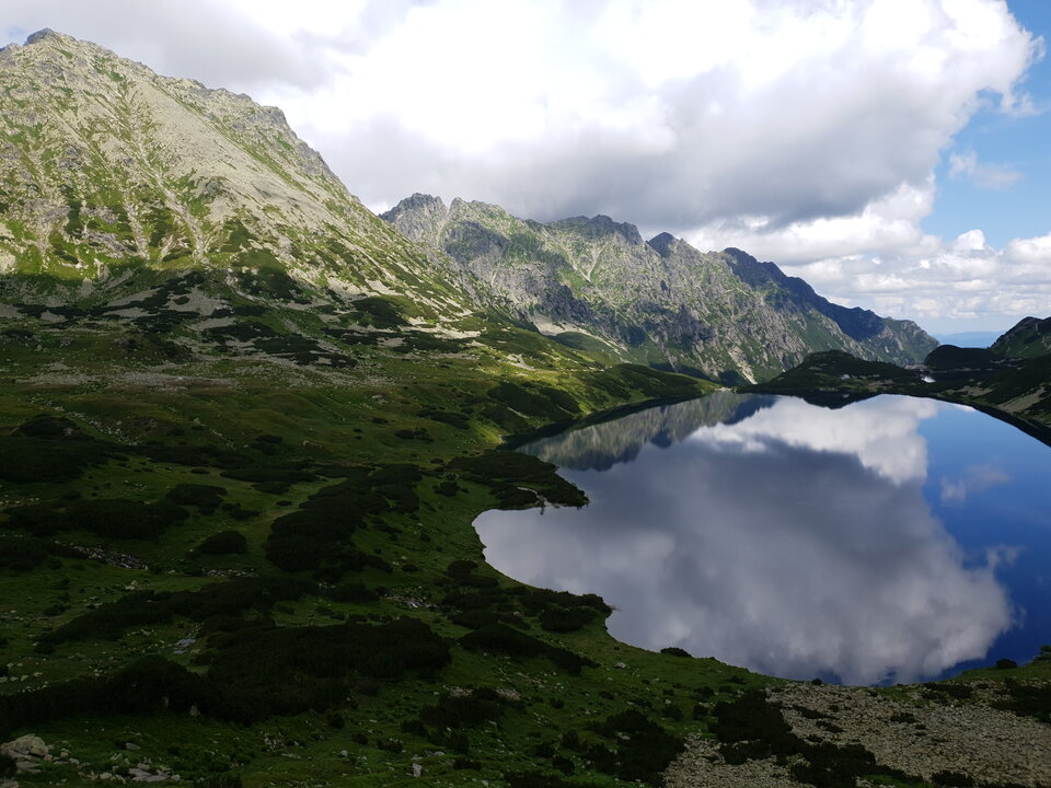 20190725_121911.jpg - ZakazanaStrefa