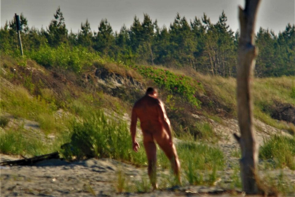 received_781793699169008.jpeg - Milyadam1982