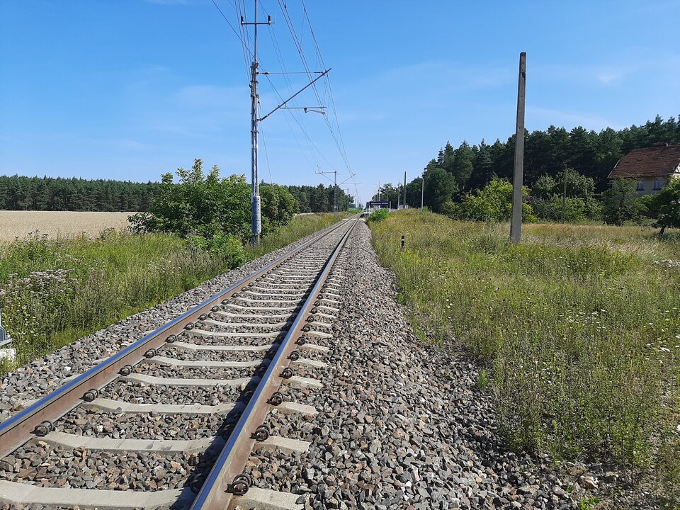 16287562636063420224831063180134.jpg - Mich1977