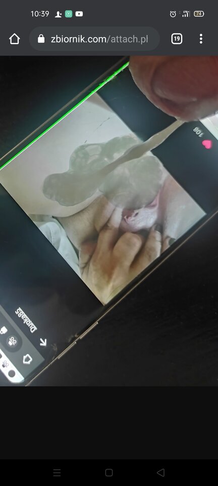 Screenshot_2021-08-12-10-39-14-89.jpg - Dupka85