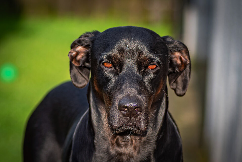 Hator, Hator, Hator ... - mystic