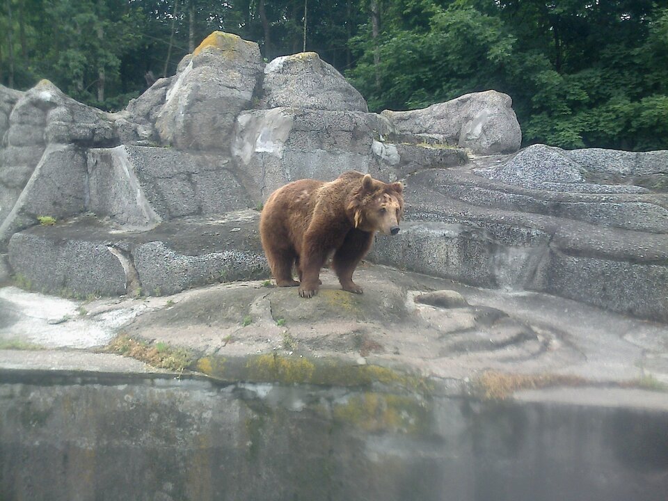 Zdjęcie0074.jpg - kuba37wa