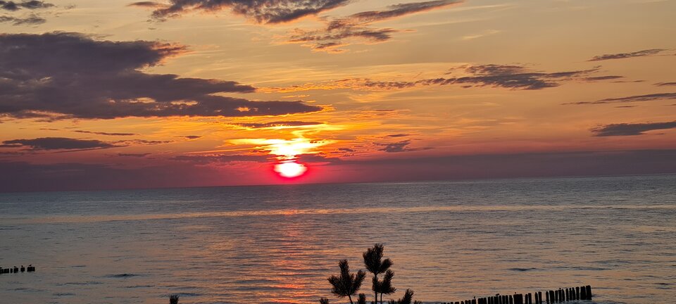 20210812_202554.jpg - passionate2