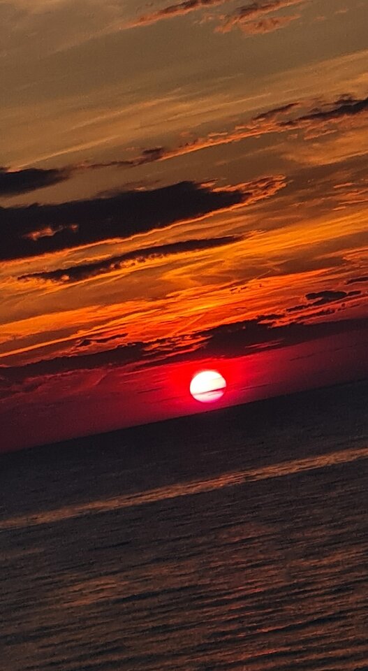 20210812_202823.jpg - passionate2