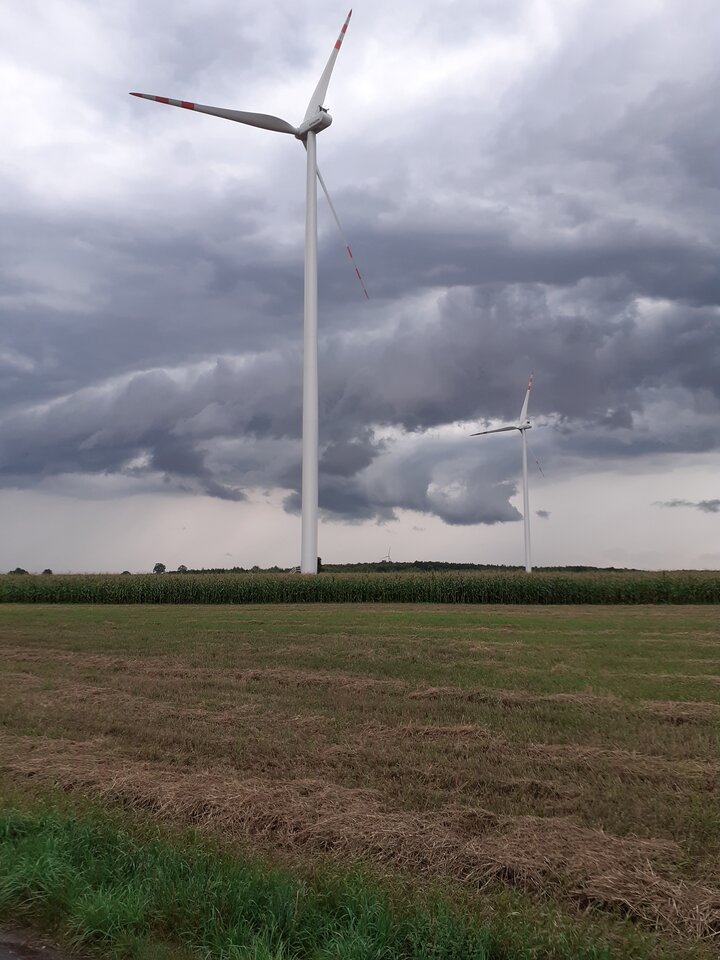 20210810_175517.jpg - hypns