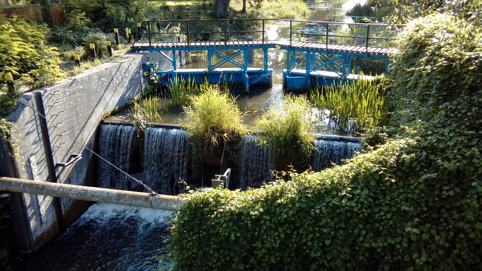 20210812_172136.jpg - jak2109