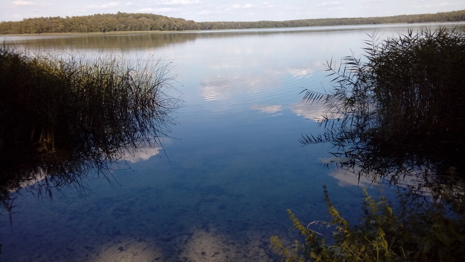 20210812_162241.jpg - jak2109