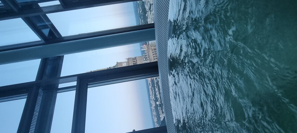 20210809_201026.jpg - liuliu_kaj