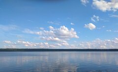 IMG_20210812_165313.jpg