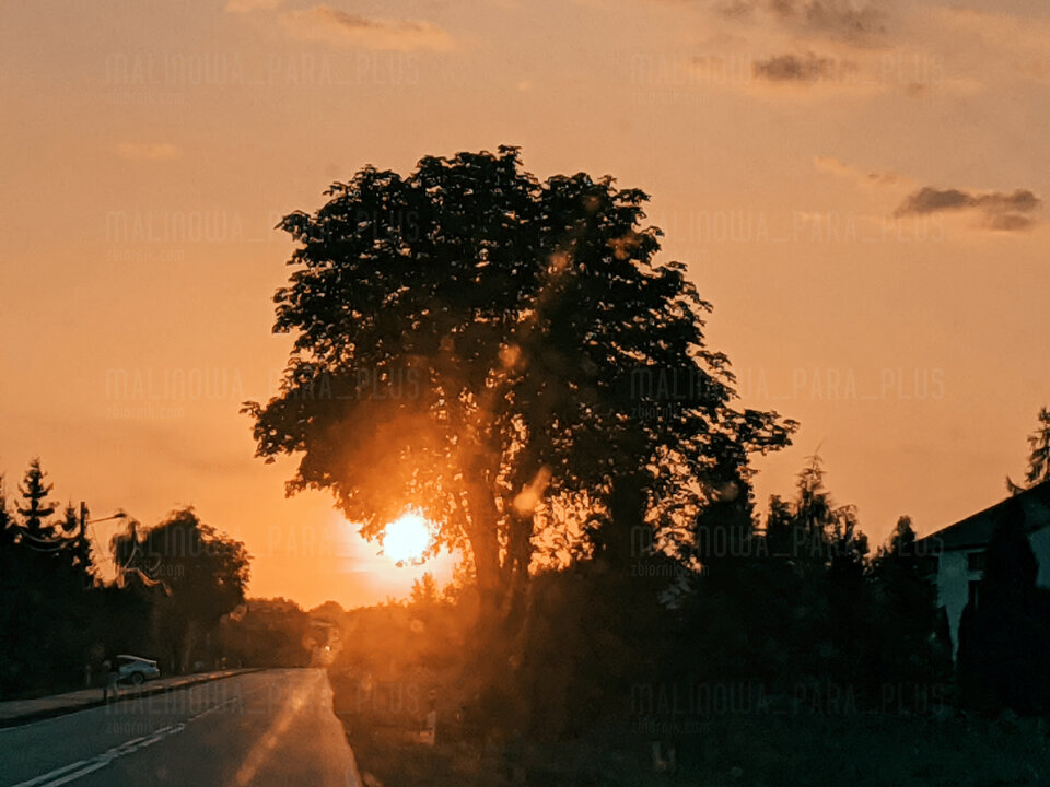 IMG_20210813_105914.jpg - malinowa_para_plus