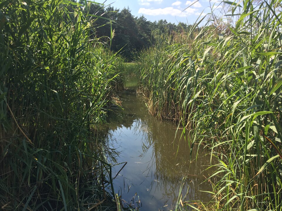 4A836B1D-6255-497C-8F4D-FF974CACDC27.jpeg - hotdickwantssex