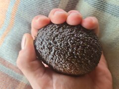 lepsze awokado w garsci jak raydz czy wróbel