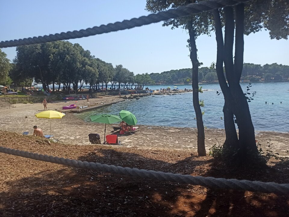 IMG_20210812_151354.jpg - moocny4