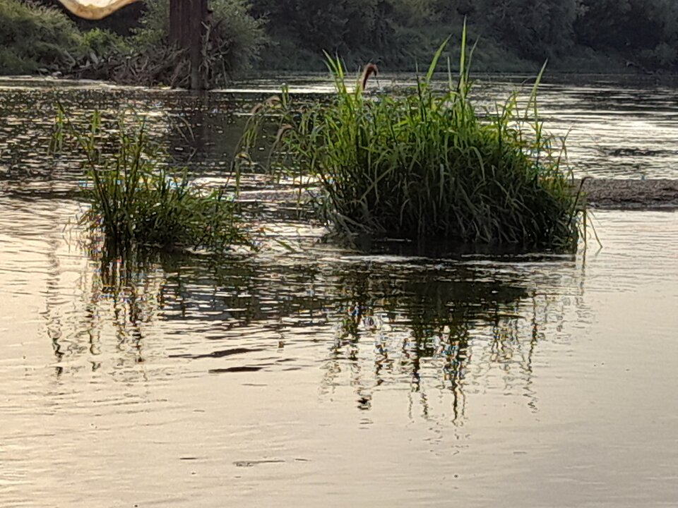 20210813_184329.jpg - bears64