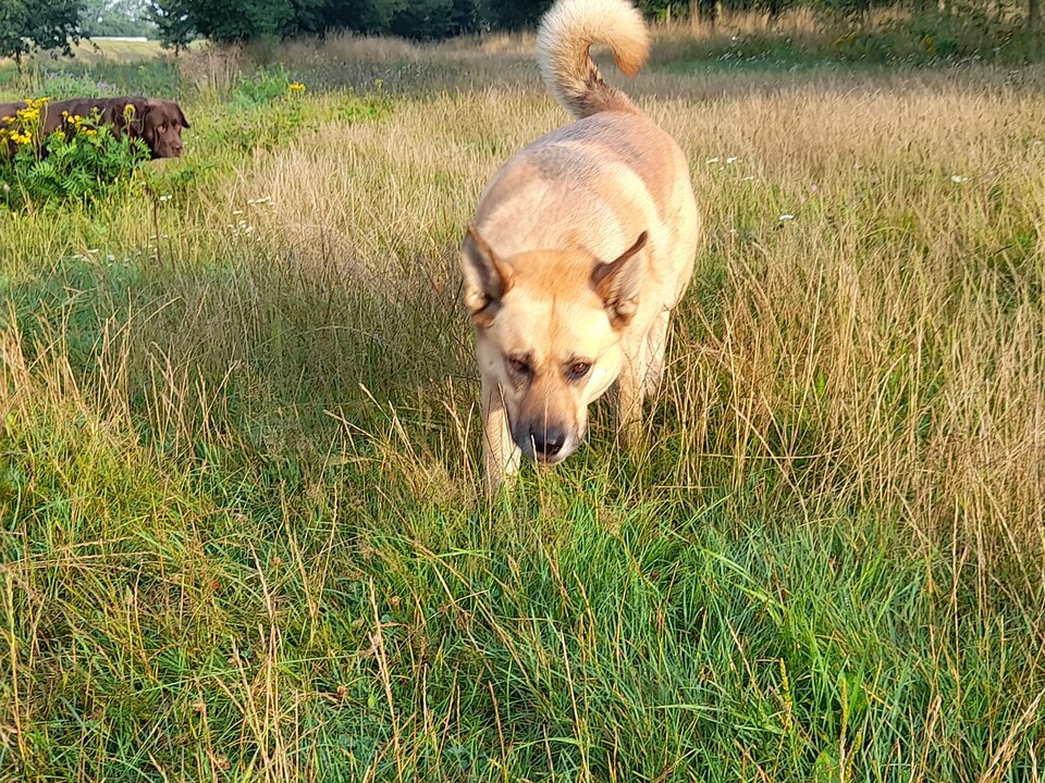 20210813_065655.jpg - bears64