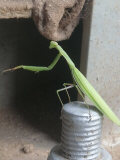 Śmiertelna przyjemnosc