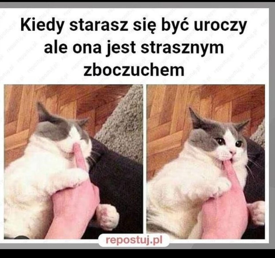 Screenshot.jpg - sympatyczny260981