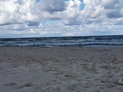 IMG_20210802_115106.jpg