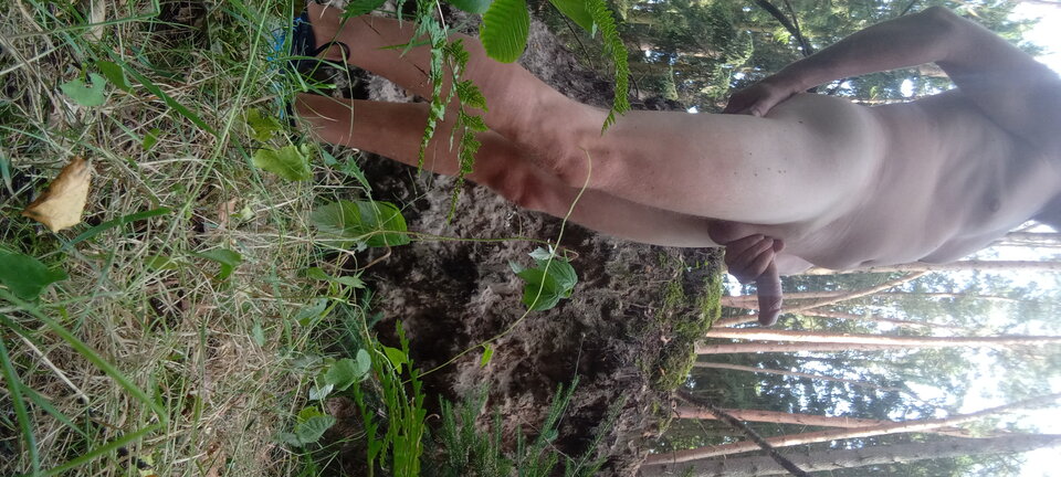 20210730_172336.jpg - ananas22