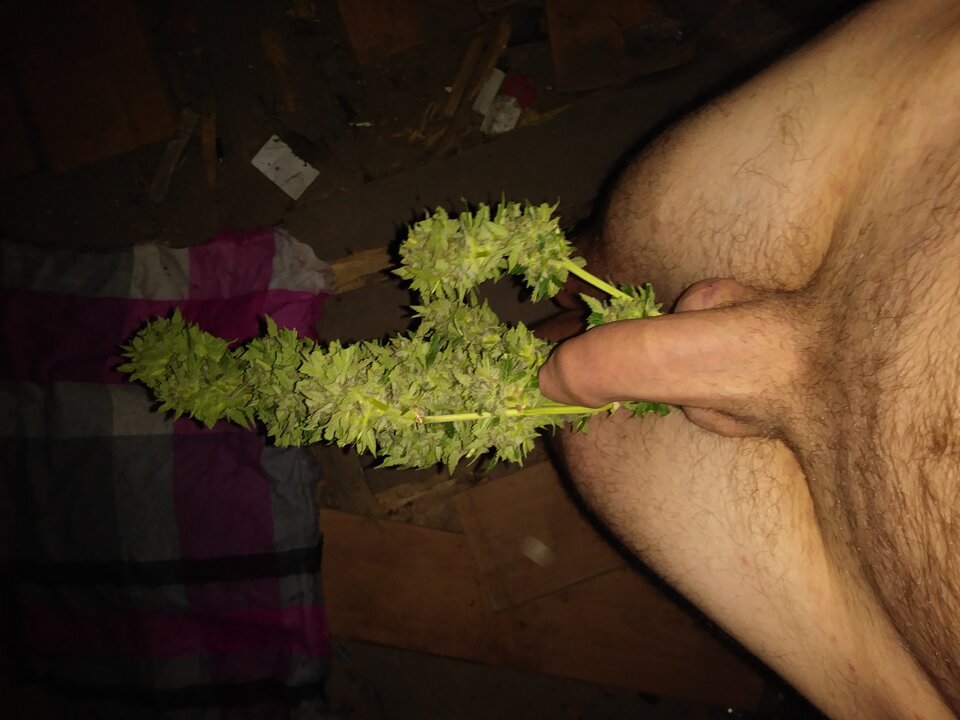 20210812_231040.jpg - Lovesex6669