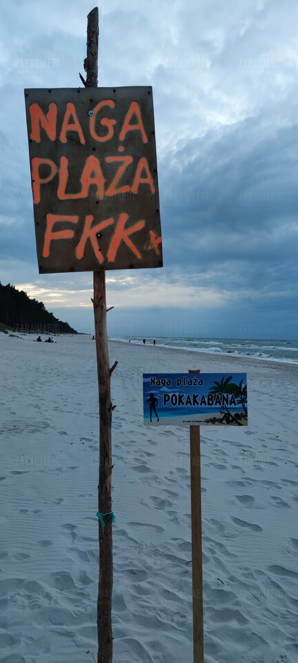 IMG_20210814_203334.jpg - ZabawaEM